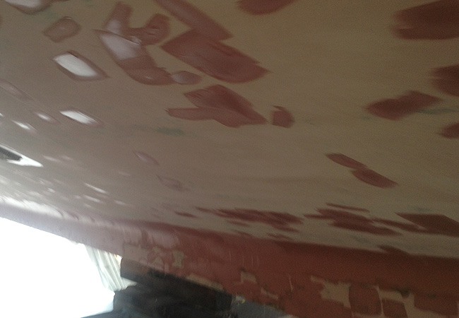 Photo4