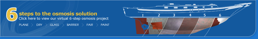 Click here to view our virtual animated osmosis solutions project